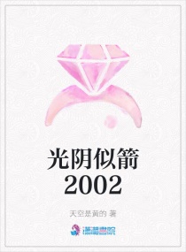 光阴似箭2002