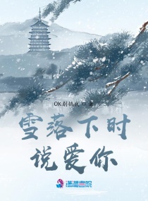 雪落下时说爱你