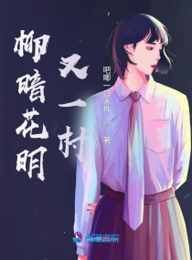 柳暗花明又一村