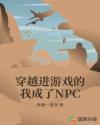 穿越进游戏的我成了NPC